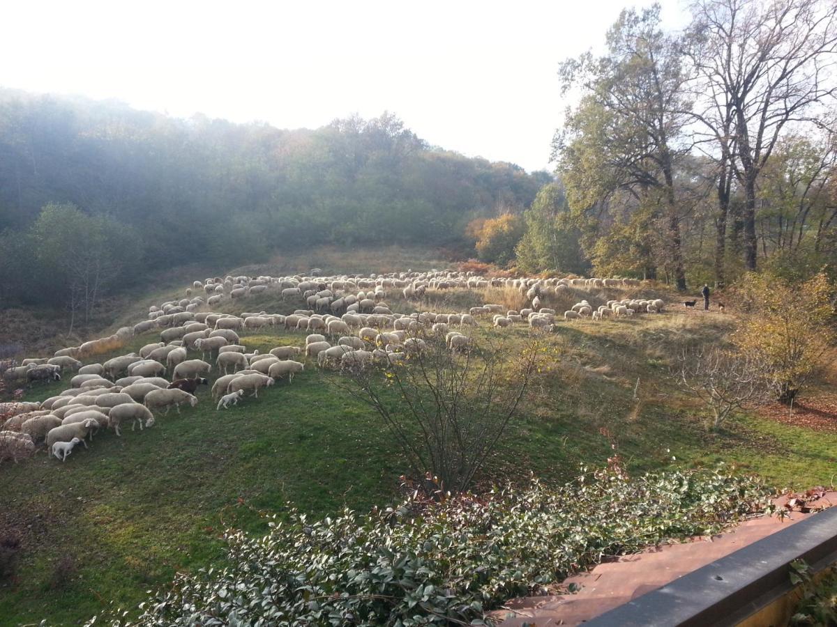 Antica Cascina Del Medico Otel Muzzano Dış mekan fotoğraf