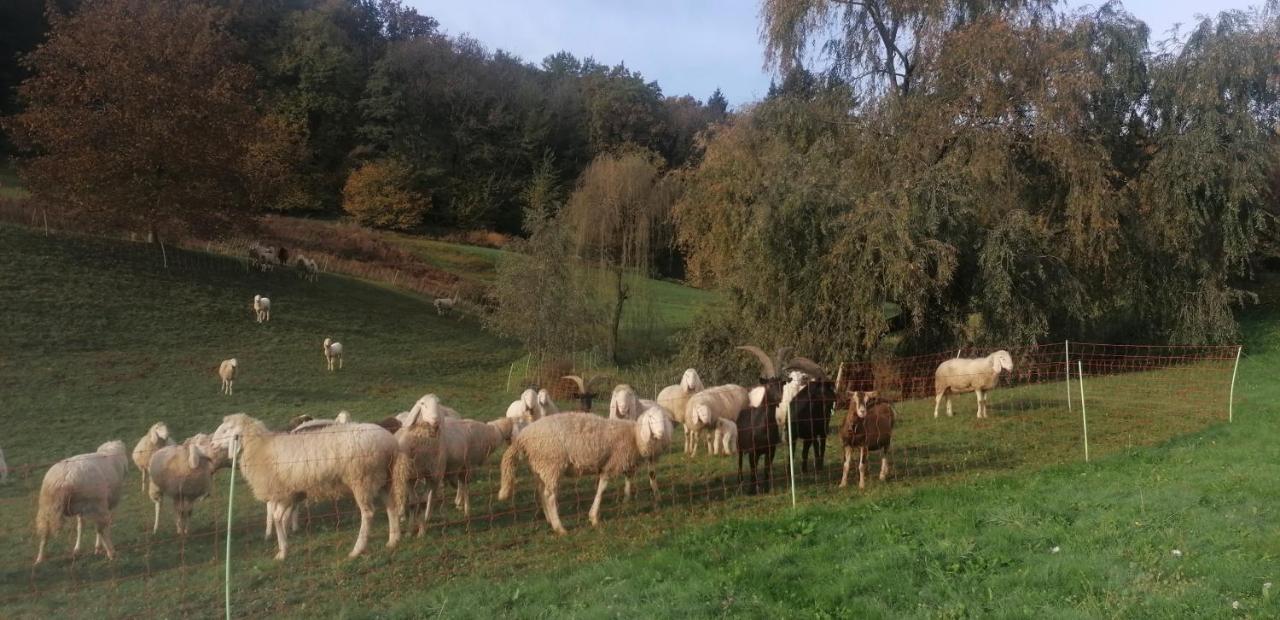 Antica Cascina Del Medico Otel Muzzano Dış mekan fotoğraf