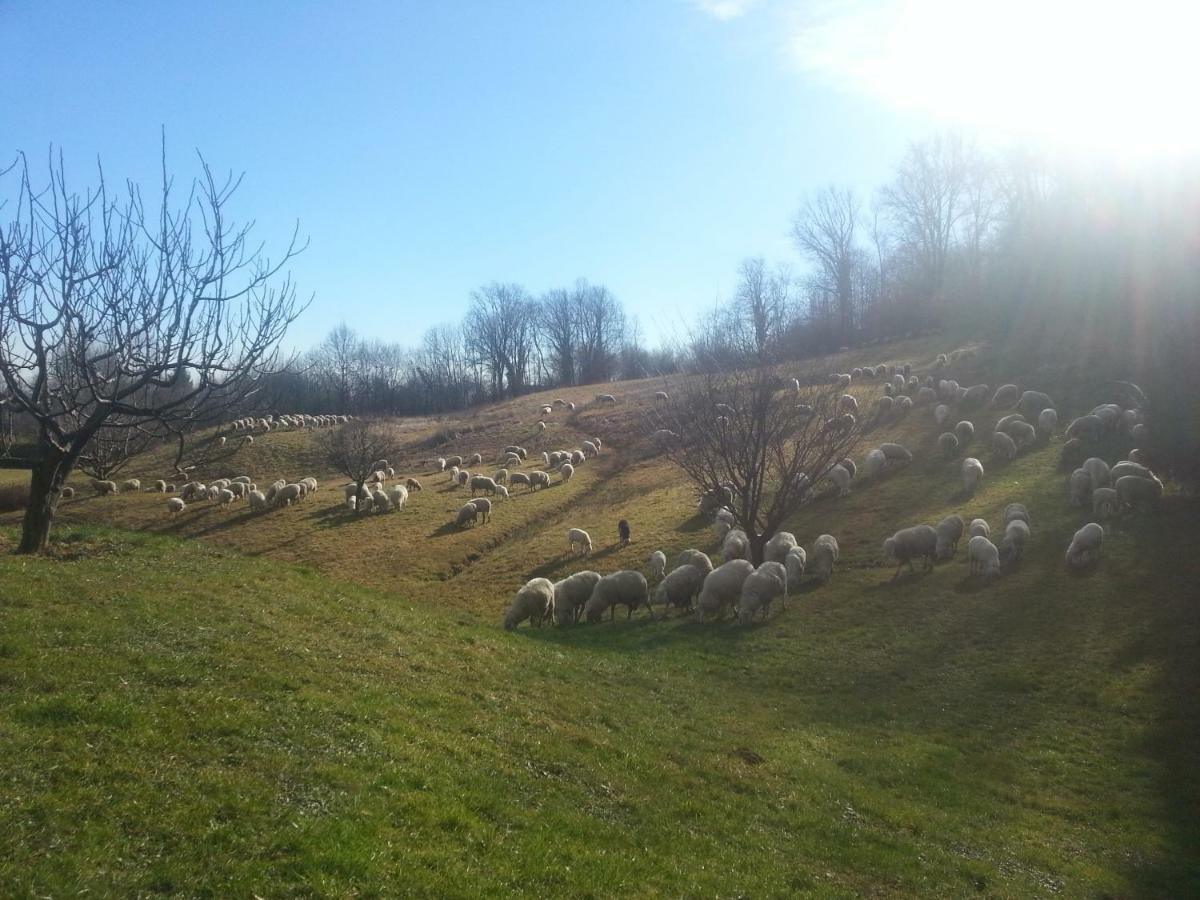 Antica Cascina Del Medico Otel Muzzano Dış mekan fotoğraf