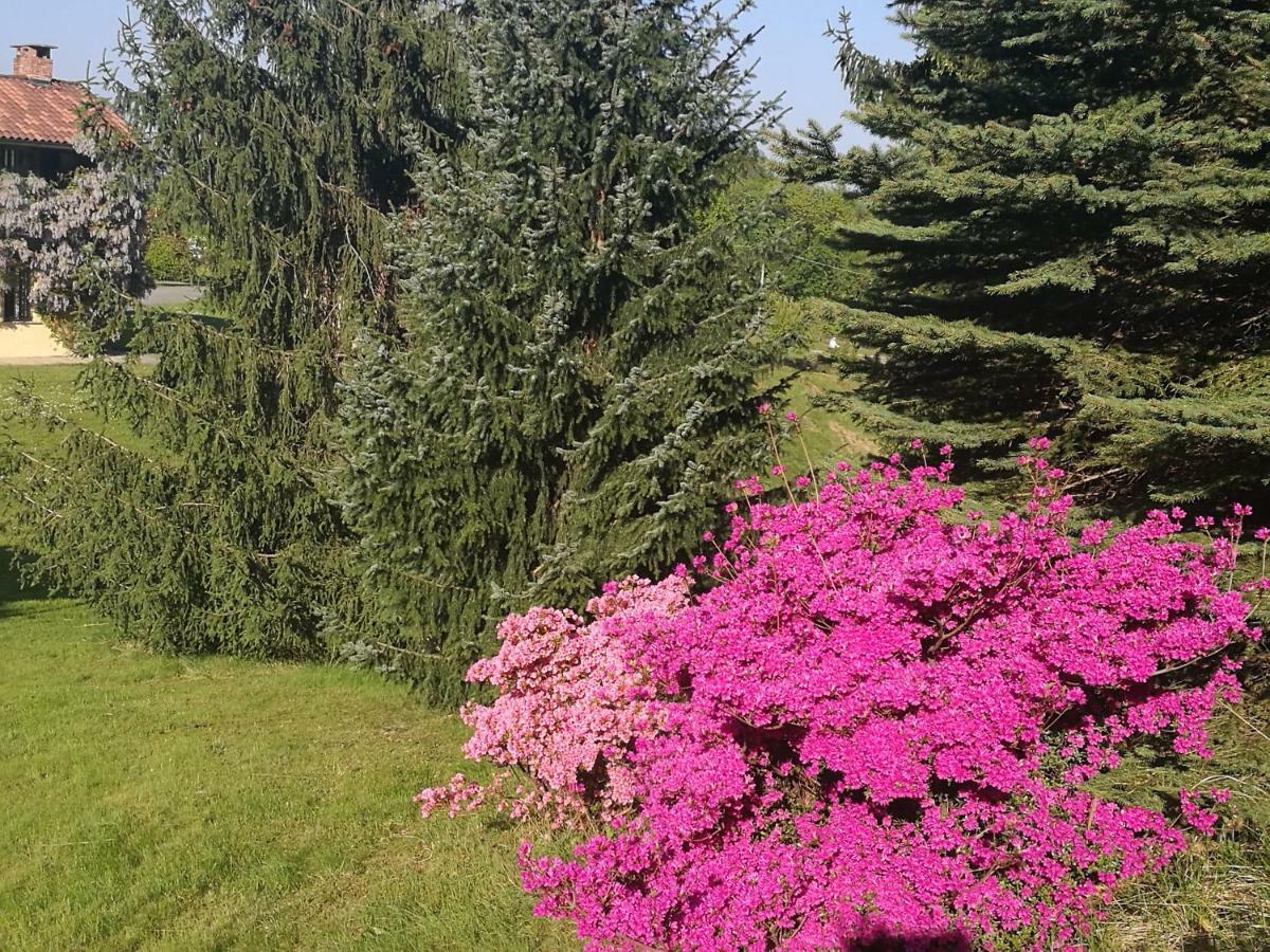 Antica Cascina Del Medico Otel Muzzano Dış mekan fotoğraf