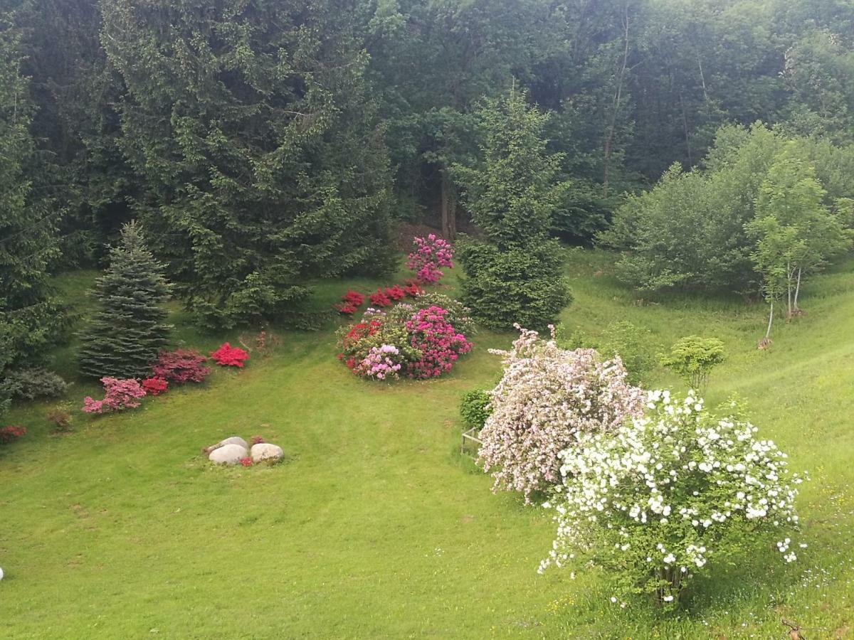 Antica Cascina Del Medico Otel Muzzano Dış mekan fotoğraf